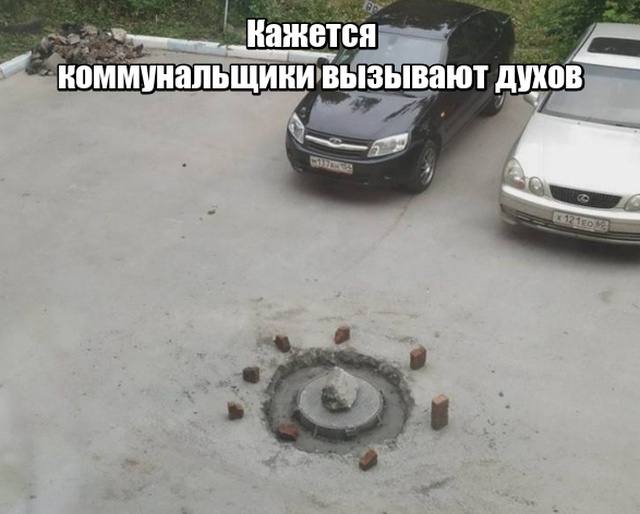 Подборка прикольных фото №2164 (66 фото) - «Это интересно»