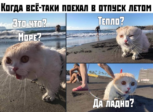 Подборка прикольных фото №2184 (59 фото) - «Это интересно»