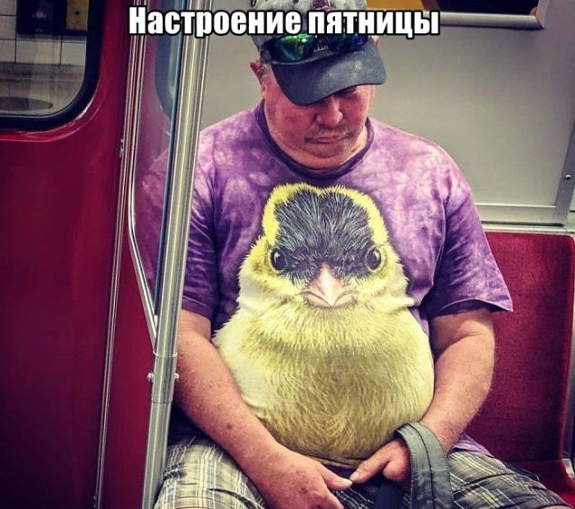 Подборка прикольных фото №2185 (59 фото) - «Это интересно»