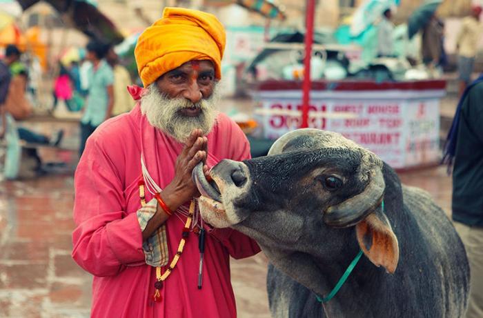 Правила путешествия по Индии (4 фото) - «Путешествия»
