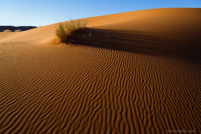 Прогулка по Сахаре (26 фото) - «Путешествия»