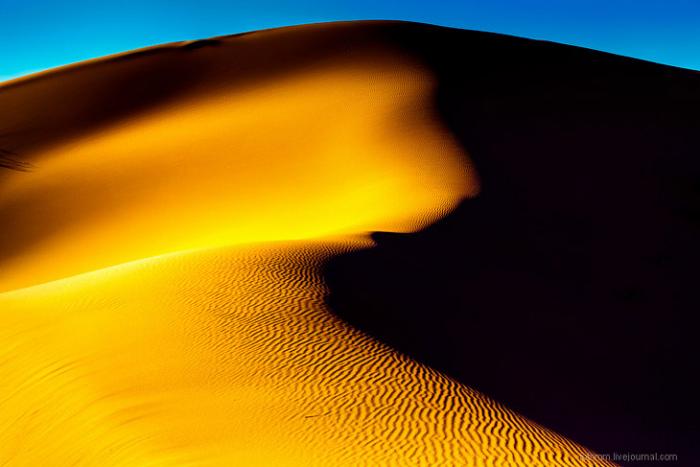 Прогулка по Сахаре (26 фото) - «Путешествия»