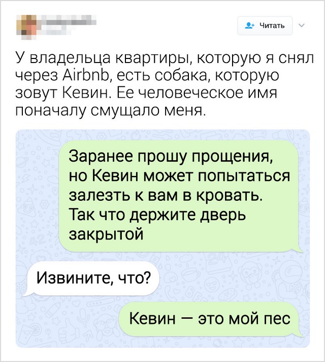 Забавные переписки людей, которых неправильно поняли (20 скриншотов) - «Это интересно»