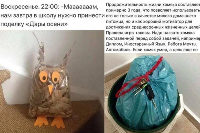 Годные идеи с просторов Интернета (14 фото) - «Это интересно»