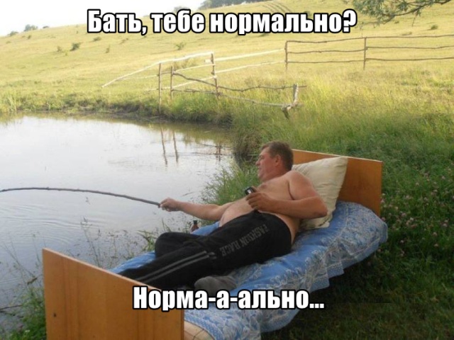 Подборка прикольных фото №2195 (62 фото) - «Это интересно»