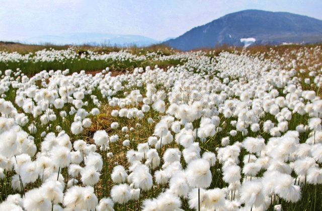 Вся правда о Коми (10 фото) - «Путешествия»