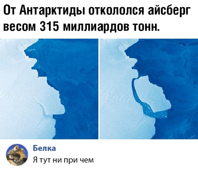 Подборка прикольных фото №2217 (59 фото) - «Это интересно»