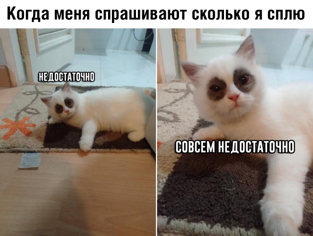 Подборка прикольных фото №2220 (61 фото) - «Это интересно»