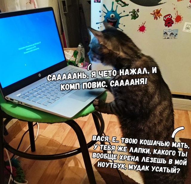 Подборка прикольных фото №2223 (65 фото) - «Это интересно»