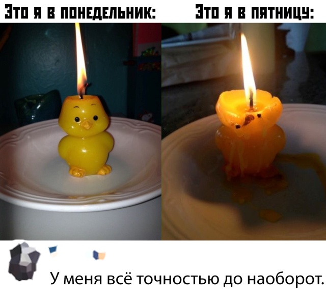 Подборка прикольных фото №2235 (65 фото) - «Это интересно»