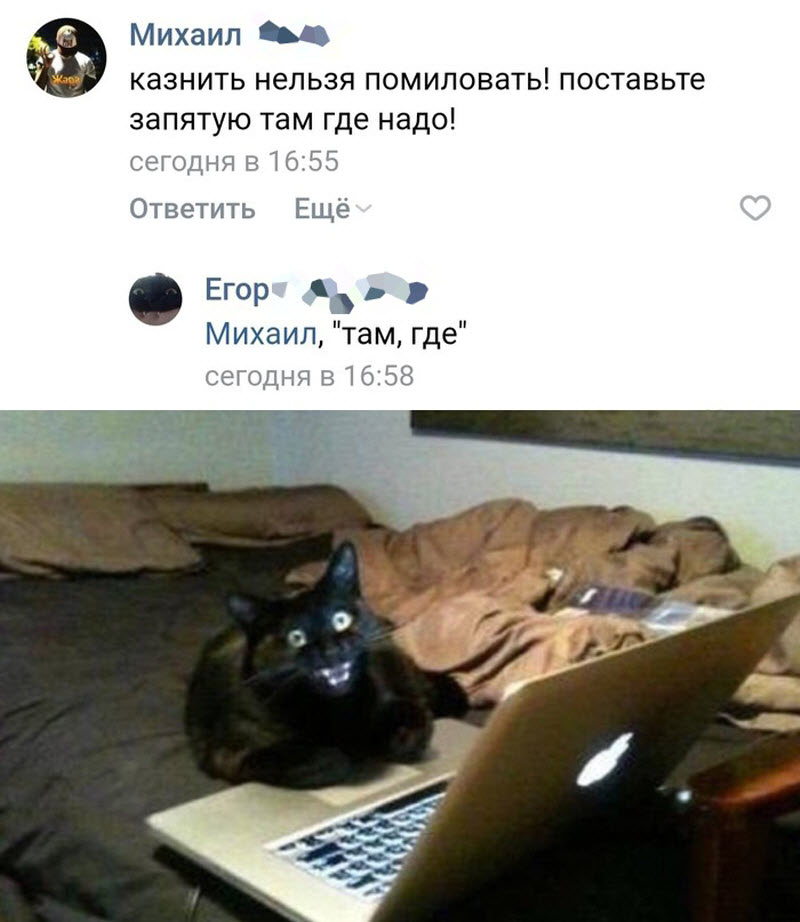 Всякие приколы картинки