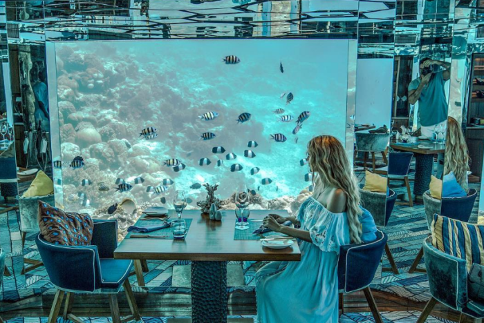 Роскошный подводный ресторан на Мальдивах (10 фото) - «Путешествия»