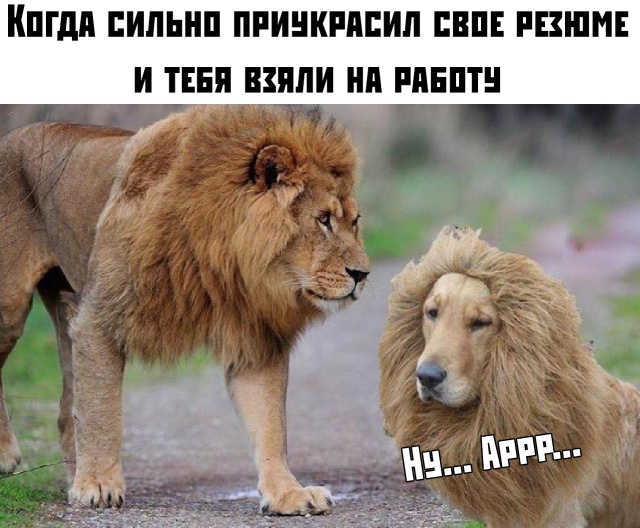 Подборка прикольных фото №2250(74 фото) - «Это интересно»