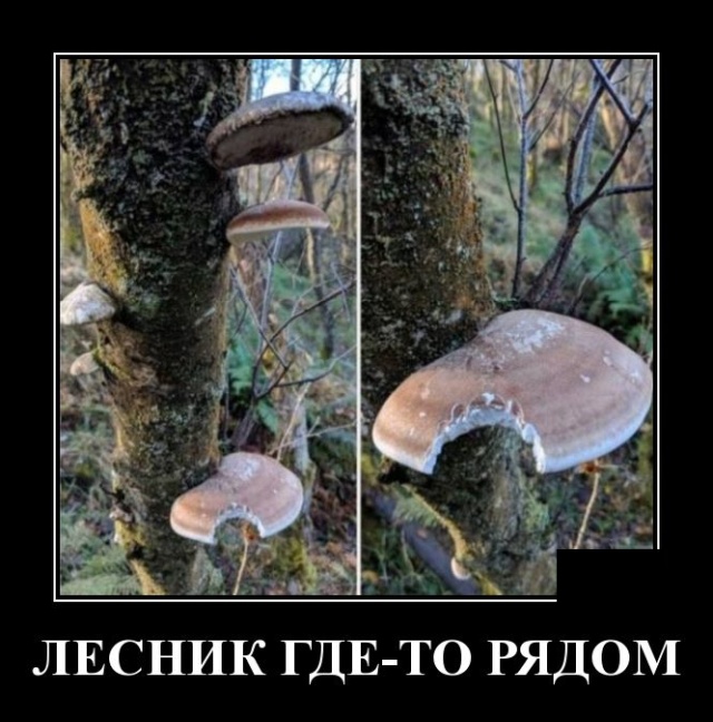 Демотиваторы №2239 (20 фото) - «Демотиваторы»