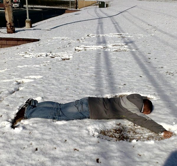 Эмоции людей и животных,которые впервые в жизни увидели снег (16 фото) - «Это интересно»