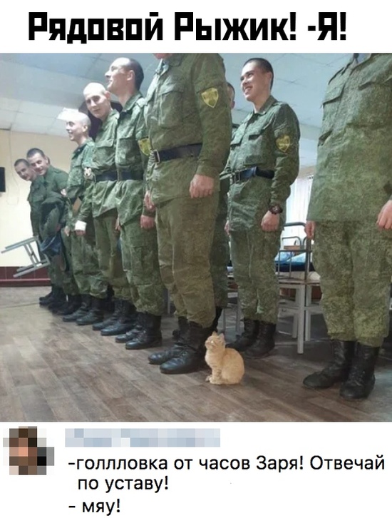 Подборка прикольных фото №2270 (68 фото) - «Это интересно»