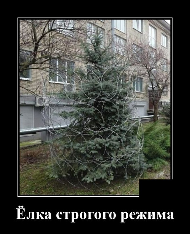 Демотиваторы №2272 (20 фото) - «Демотиваторы»