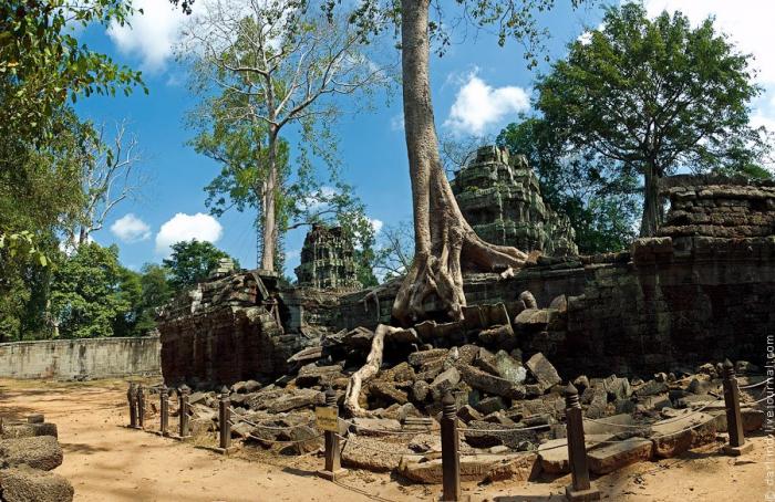 Камбоджийский храм Та Пром (25 фото) - «Путешествия»