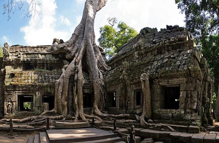 Камбоджийский храм Та Пром (25 фото) - «Путешествия»