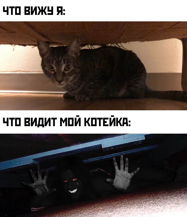 Подборка прикольных фото №2301 (64 фото) - «Это интересно»