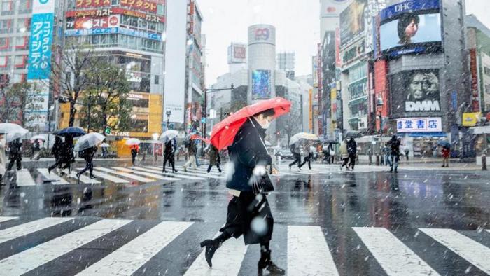 75 фактов о Японии (7 фото) - «Путешествия»