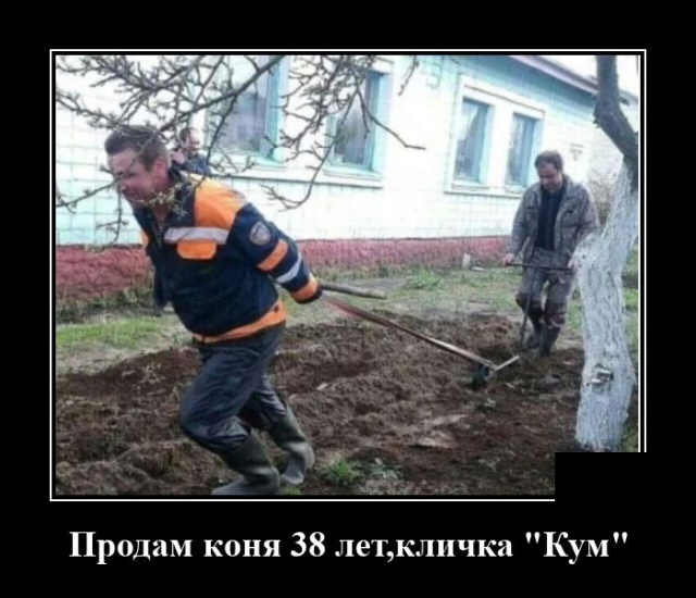 Демотиваторы №2427 (20 фото) - «Демотиваторы»