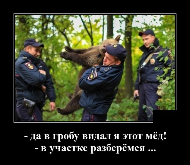 Демотиваторы №2446 (20 фото) - «Демотиваторы»