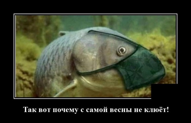 Демотиваторы №2449 (20 фото) - «Демотиваторы»