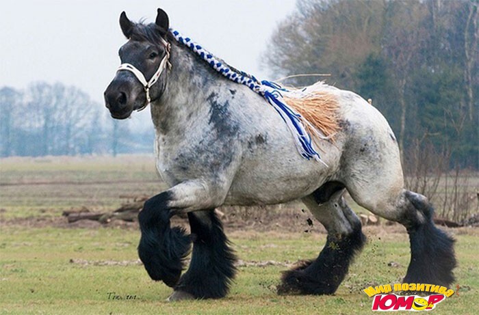 35 гигантов нашего мира