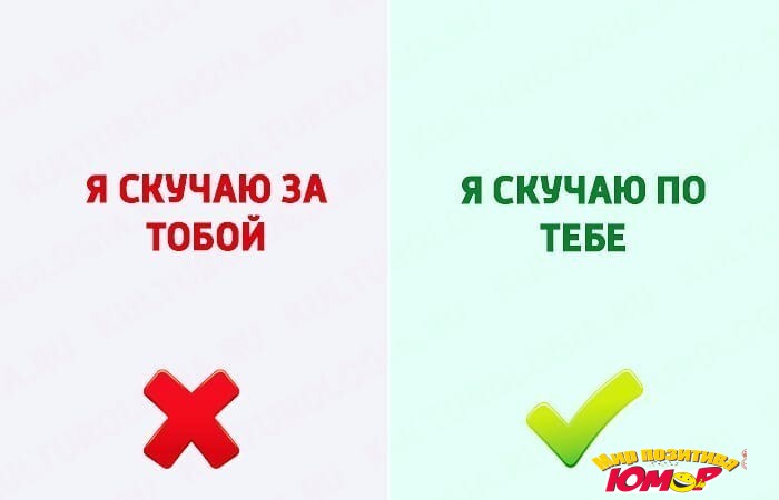 Говори правильно: веселые картинки про русский язык