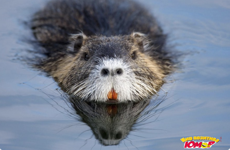 В копилку знаний: 30 любопытных фактов обо всем на свете