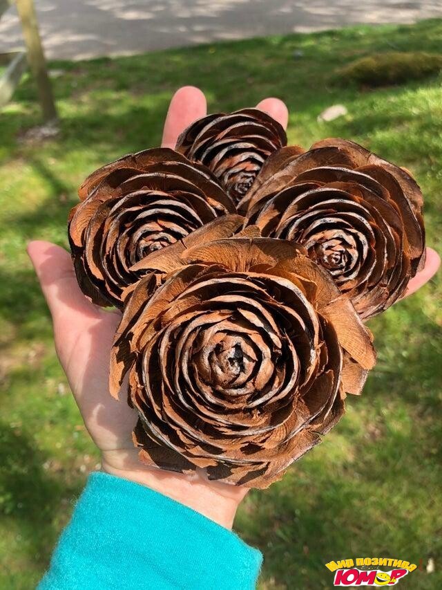 Познавательные и неизвестные многим факты обо всем на свете