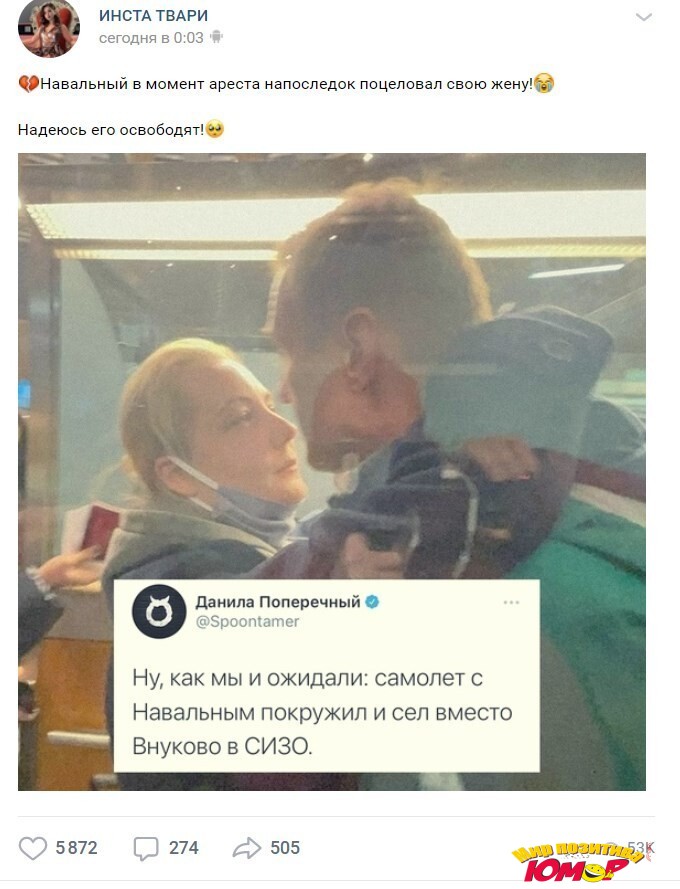Сел вместо Внуково в СИЗО: реакция соцсетей на возвращение