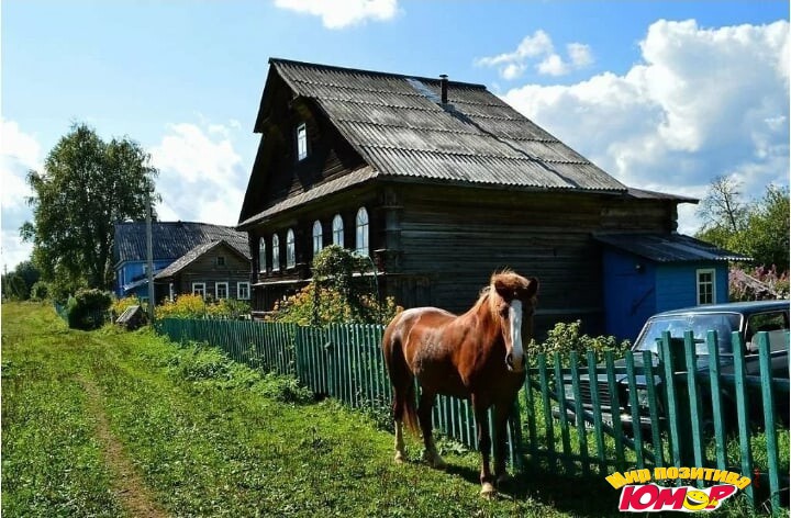 Добрые деревенские кадры, которые вызывают дикую ностальгию