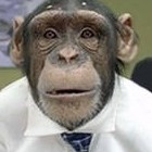 Очень умная обезьянка - «Животные»