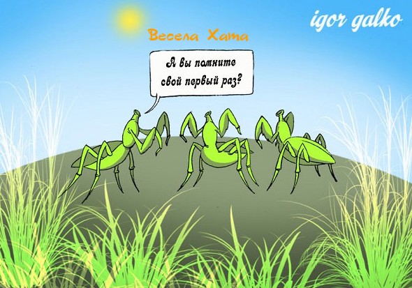 Карикатуры про насекомых от Игоря Галко + анекдоты в тему - «Анекдоты»