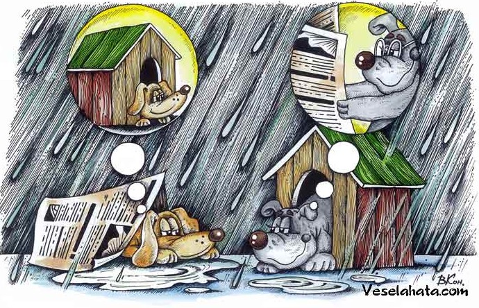 карикатура «Непогода» - «Животные»