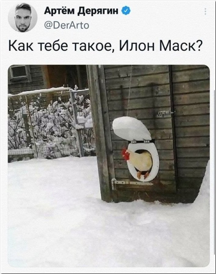 Подборка фотоприколов № 1172 - «Прикольные картинки»