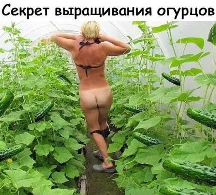 Подборка фотоприколов № 1178 - «Прикольные картинки»