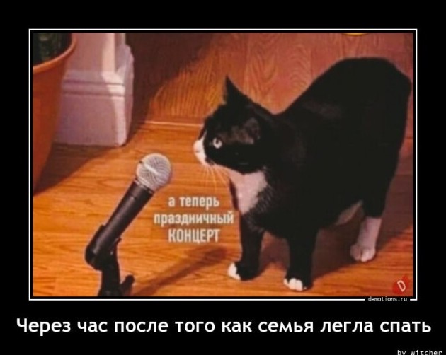 Демотиваторы