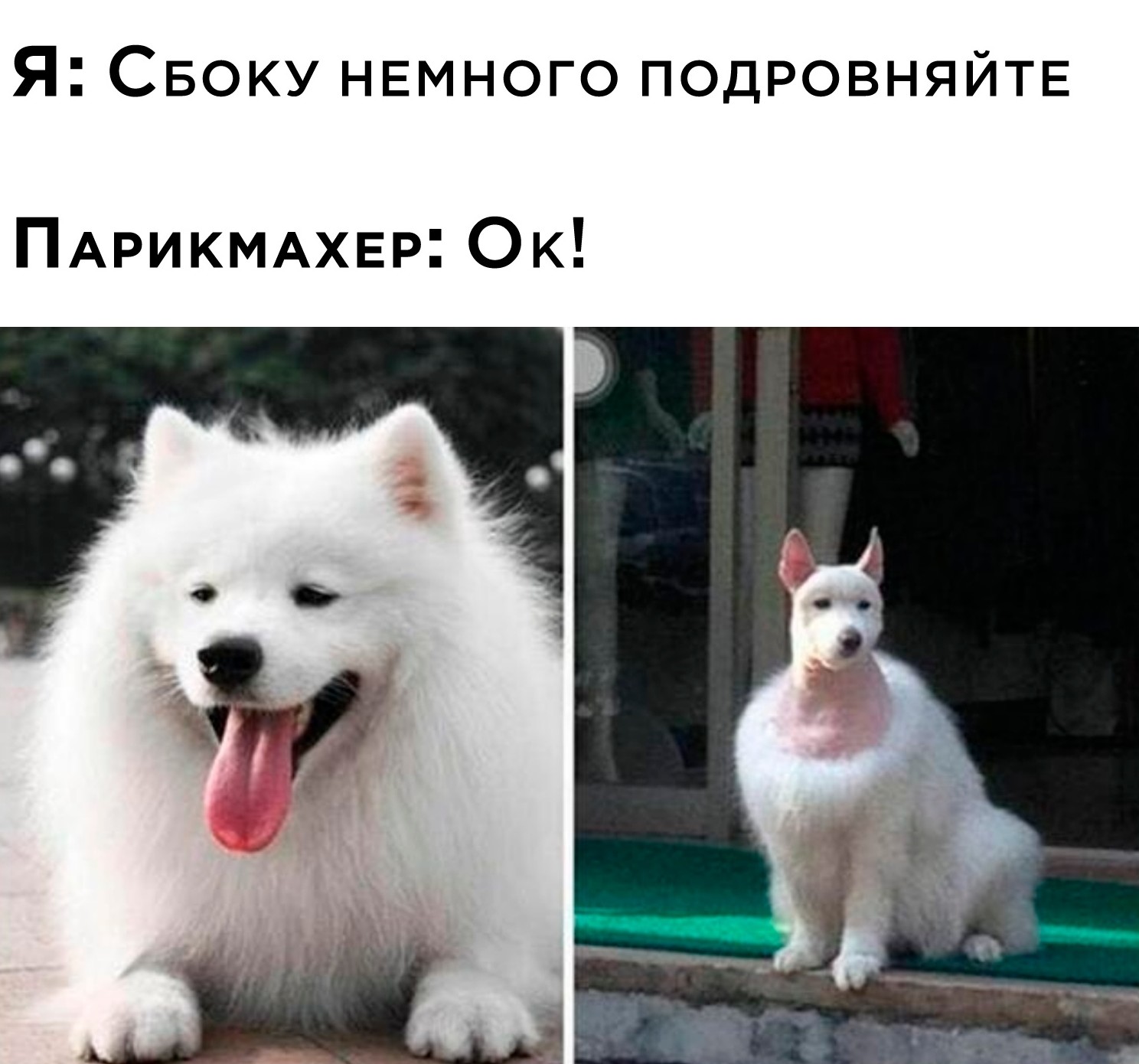 Приколы и картинки