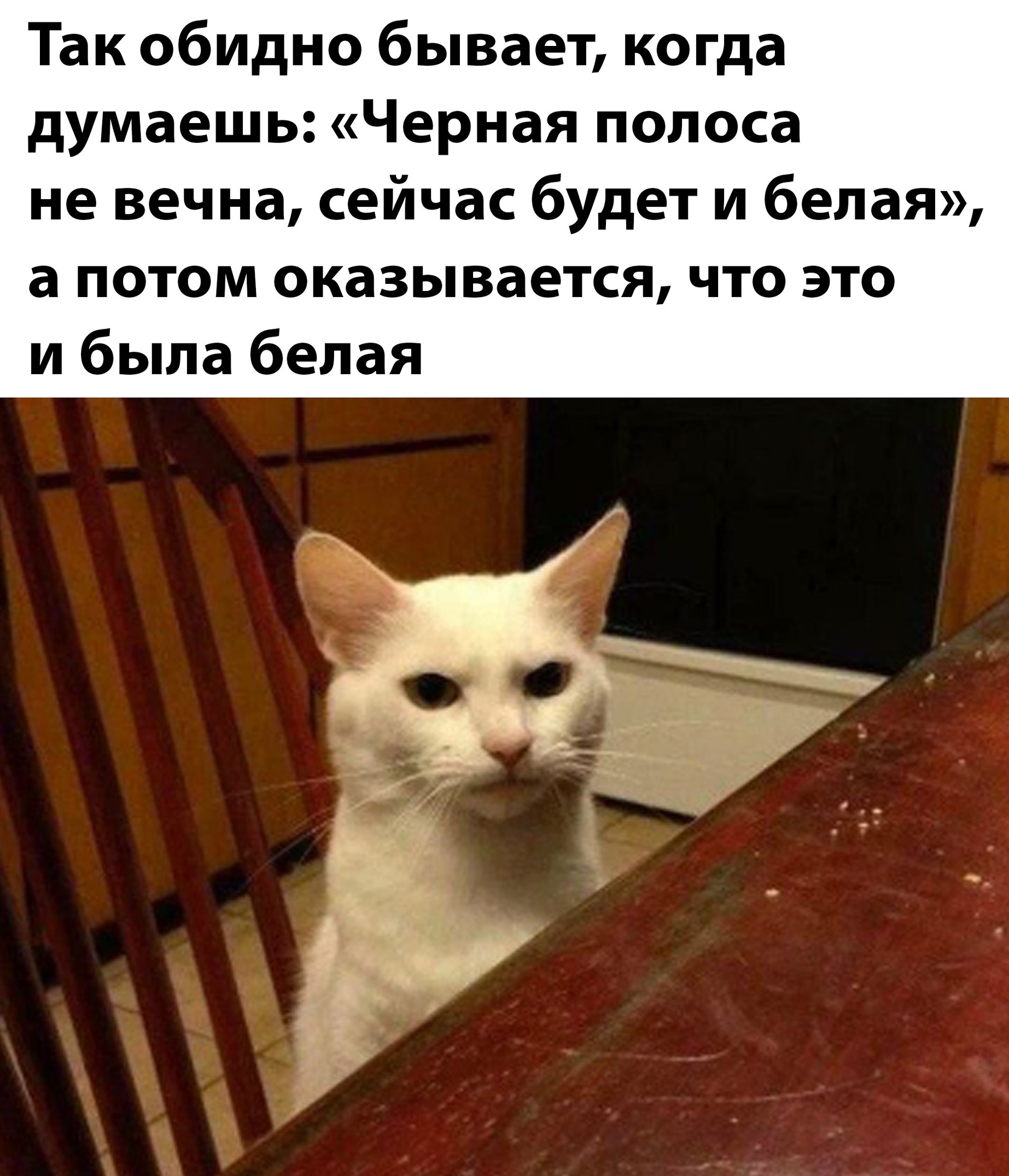 Приколы и картинки