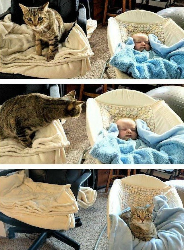 Приколы и картинки