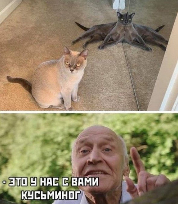 Смешные картинки