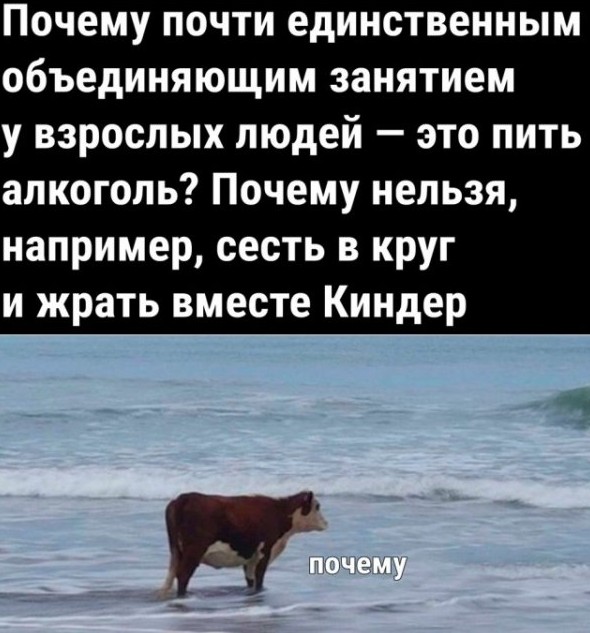 Смешные картинки