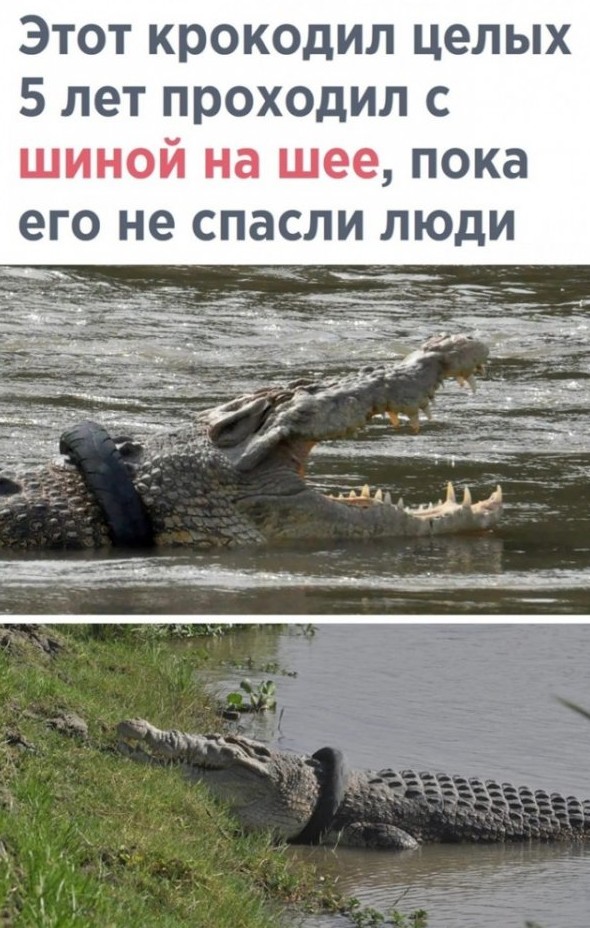 Смешные картинки