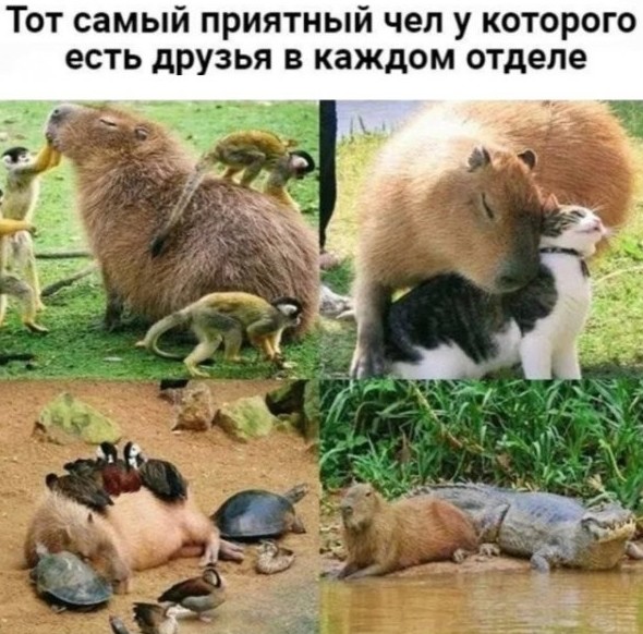 Смешные картинки