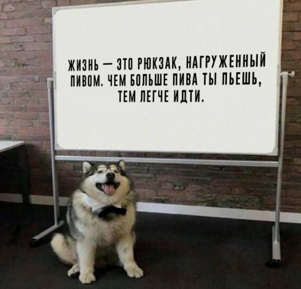 Смешные картинки