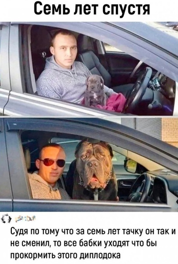 Смешные картинки