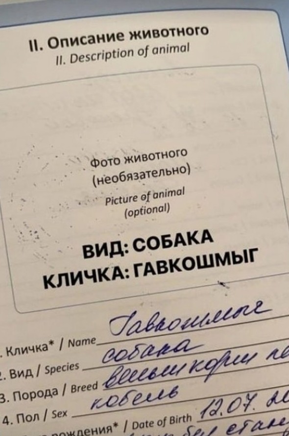 Смешные картинки